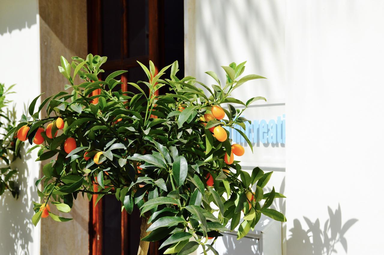 Caposud Residence&Beach Club Ispica Exterior foto